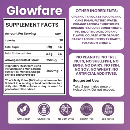 Brain Boosting Mushroom Gummies